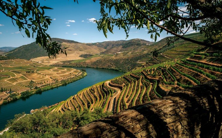 Imagem Os melhores vinhos do Douro degustados pela Revista ADEGA