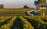 Vinhos de Bordeaux são aposta segura para investidores