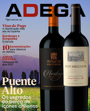 Capa Revista Revista ADEGA 203 - Puente Alto