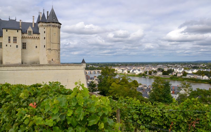 Imagem Vale do Loire: A terceira maior região vinícola francesa