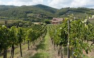 Colinas de Chianti, na Toscana, Itália - (c) Pixabay