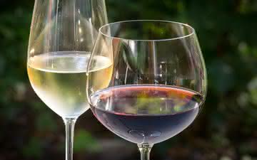 Como o tanino influencia o vinho?