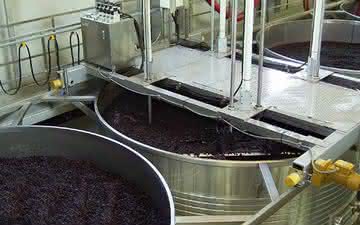 Qual levedura usar na fermentação de um vinho?