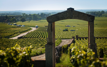 Os mais famosos vinhedos Premier Cru da Borgonha