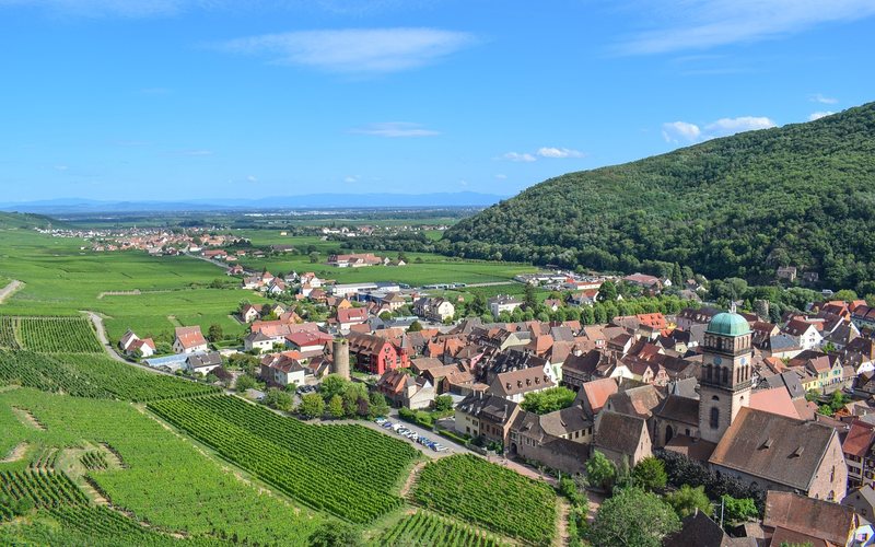 Vinhedos na Alsácia, região cresceu 41% em quatro décadas