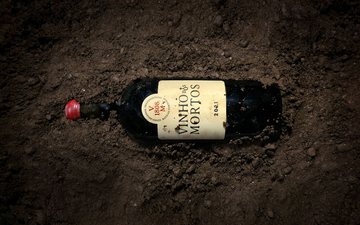 Imagem Como nasceu a tradição portuguesa dos vinhos enterrados no chão