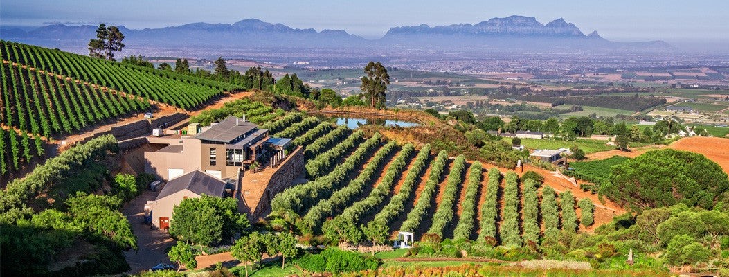 Patrice Motsepe, bilionário sul-africano, entra no mundo dos vinhos