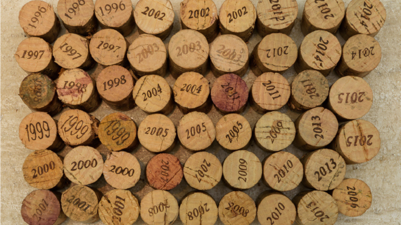 O dia em que a ADEGA degustou 20 safras do vinho Almaviva, o ícone do Chile