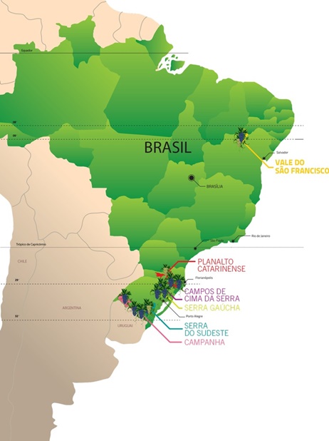 variedades de uvas nos terroirs brasileiros