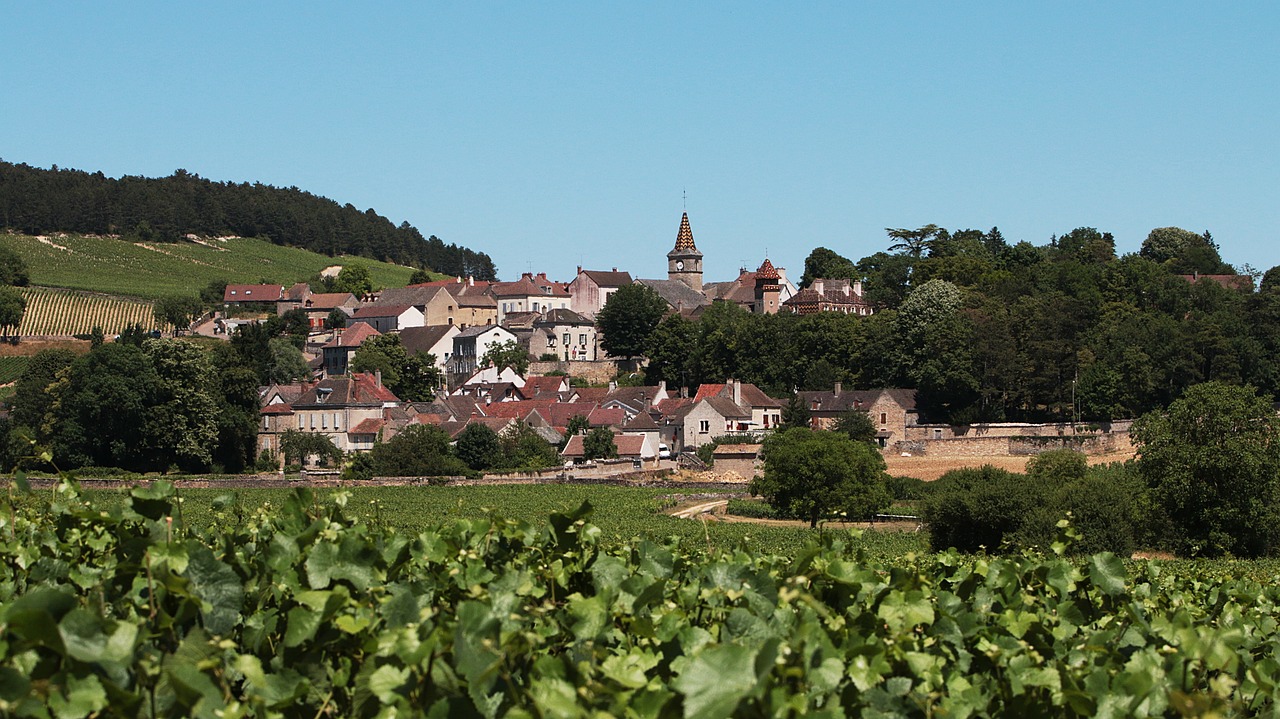 Vinhedo e vilarejo na Borgonha