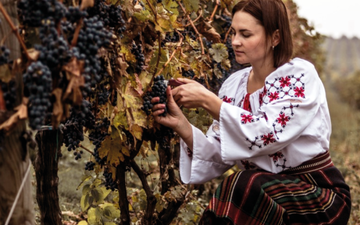 Imagem Vinho da Eslovênia? Regiões pouco conhecidas também fazem ótimos vinhos