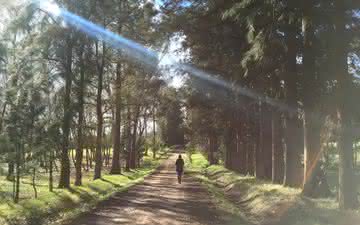 Fazenda de criação de cavalos faz o Mataojo, um vinho puro sangue