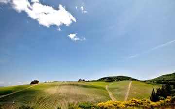 Como o Tignanello de Piero Antinori ajudou a revitalizar a região de Chianti