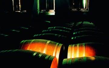 Como o carvalho exerce influência nos vinhos 