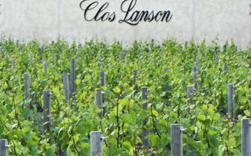 Champagne Lanson tem vinhedo murado que é o único remanescente na cidade de Reims