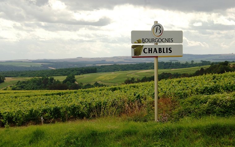 Região de Chablis é a mais famosa do mundo para vinhos da uva Chardonnay