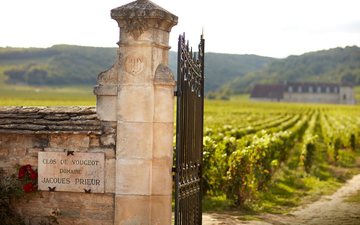 Imagem Clos de Vougeot: o maior vinhedo murado da Borgonha