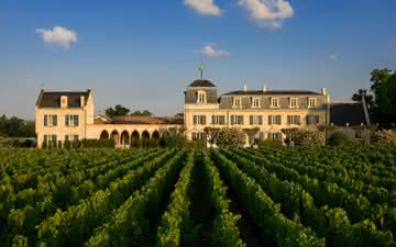 Imagem Château Haut-Brion mantém produção limitada de seu raro vinho branco