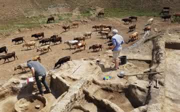Arqueólogos encontram vestígios de viticultura com mais de 8 mil anos
