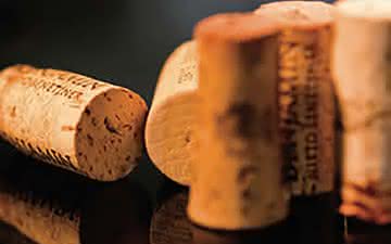 Você sabe quais os problemas que se pode encontrar nos vinhos?