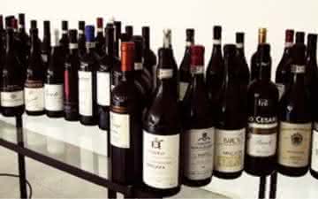 Os vinhos de Piemonte