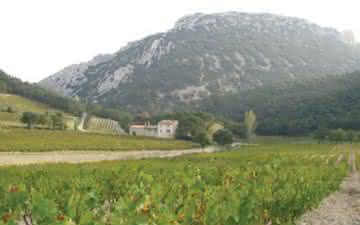 Os vinhos do Vale do Rhône