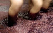 Acredita-se que a tradição de prensar as uvas com os pés para tirar seu suco tenha tido origem há mais de 7 mil anos