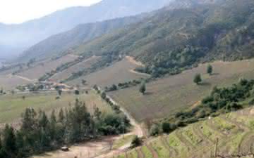 A força do terroir
