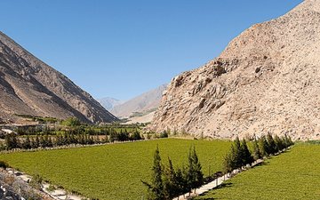 Pisco é produzido nos vales de Elqui e Limarí, no Chile, onde está a “La Ruta del Pisco