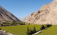 Pisco é produzido nos vales de Elqui e Limarí, no Chile, onde está a “La Ruta del Pisco