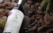 As nelhores harmonizações para vinhos Tempranillo