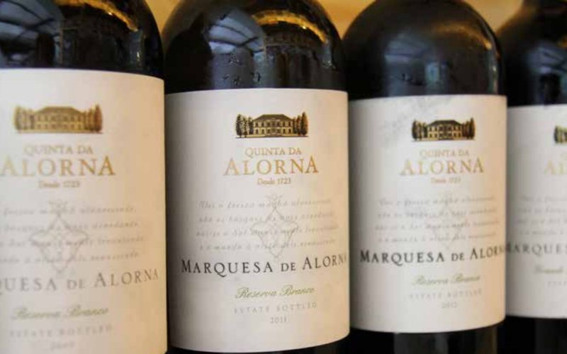 Imagem Marquesa de Alorna é o vinho escolhido para jantar do Papa Francisco