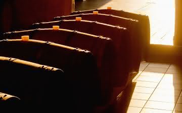 10 estilos de vinho que usam madeira de diferentes formas