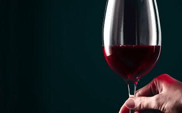 Os melhores vinhos de 2019