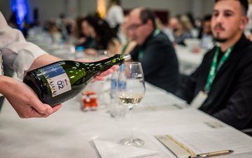 Avaliação Nacional de Vinhos: veja lista dos destaques da safra 2024