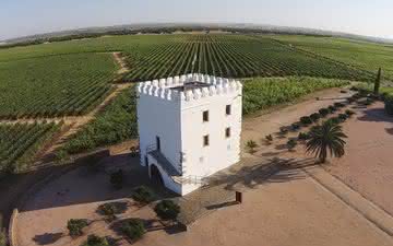 Herdade do Esporão resume Portugal para além dos vinhos na véspera dos 50 anos