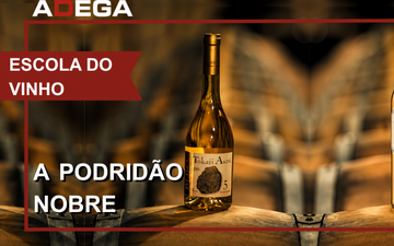 thumb do vídeo a podridão nobre