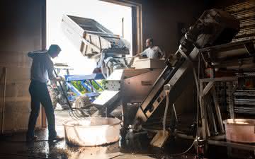 O que é o vinho de garagem... E porque, afinal, ele é vendido tão caro?