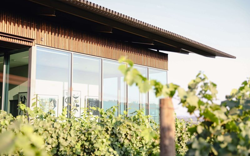 A Furioso Vineyards, localizada em Dundee Hills, Oregon, é uma vinícola renomada tanto pela qualidade de seus vinhos quanto por sua arquitetura inovadora