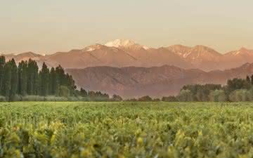 Adega International Tasting promove vertical de Achaval Ferrer Finca Bella Vista