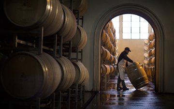 Imagem Produção global de vinho registra queda histórica