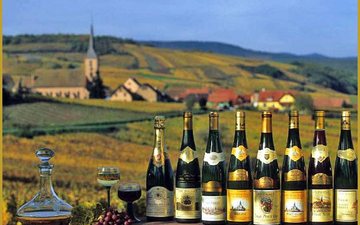 Garrafas tradicionais dos vinhos da Alsácia