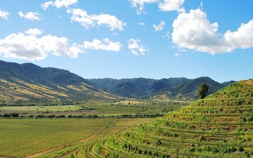 Os melhores vinhos chilenos produzidos no vale do Maipo