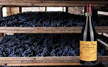 Grandes vinhos: belo Amarone della Valpolicella só é produzido em anos excepcionais 