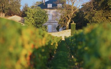 Imagem Conheça a elite dos vinhedos de Bordeaux e os châteaux de Pauillac