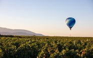 O Temeluca Valley fica a cerca de 140 km de Los Angelas, na Califórnia (EUA) - Divulgação | Temecula Valley Winegrowers Association