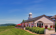 Barboursville Vineyards