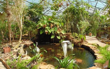 Imagem Clube de jardinagem promove evento comunitário com vinho e prêmios