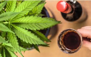 União entre vinho e maconha atrai consumidores nos Estados Unidos