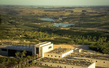 Bodega Garzón